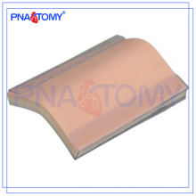 PNT-TM001 modelo de pele de silicone Suture Training Pad (com suporte) modelo